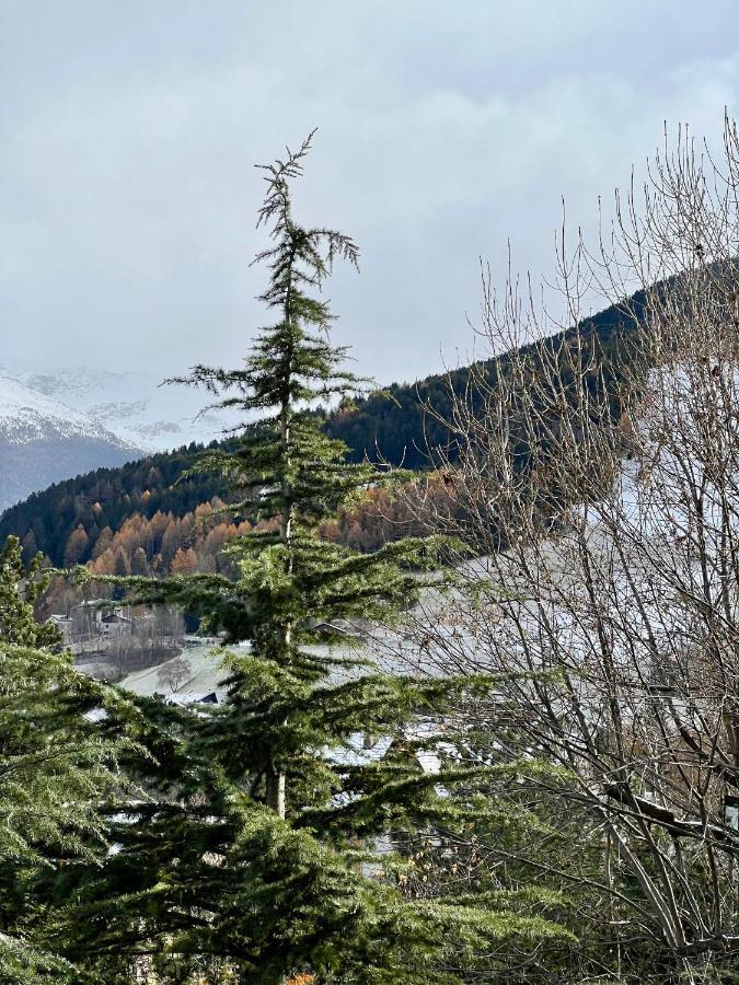 Il Pettirosso - Casa Vacanze Bormio Esterno foto